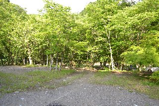 新戸キャンプ場の林の中は直射日光が遮れるので、快適にバーベキューが出来ます。