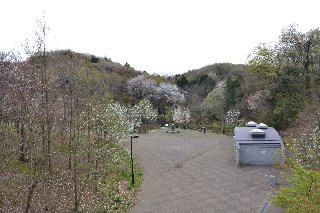 小山内裏公園の広い園内は里山の風情がそのままに残っています。