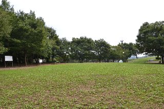 若葉台公園の多目的広場は芝生で、綺麗に整備されています。