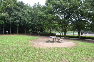 若葉台公園の多目的広場には、木立が並び椅子やテーブルもあります。